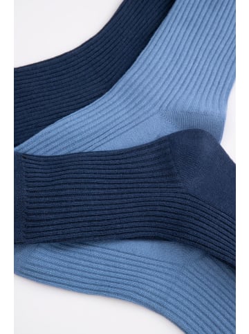 Coccodrillo Socken in bunt