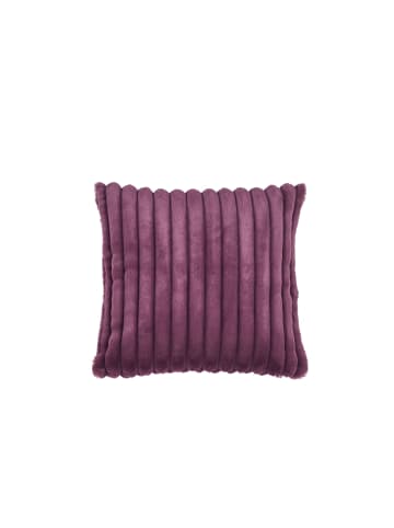 Cats Collection Kissenhülle Polar in purple
