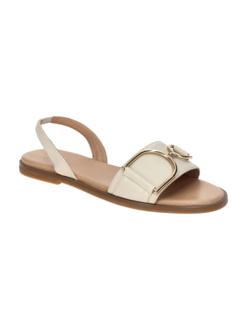 Geox Sandalen in Beige