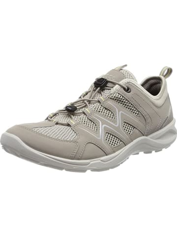 Ecco Sneakers in beige