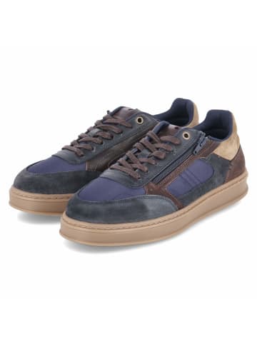 Bullboxer Low Sneaker in blau