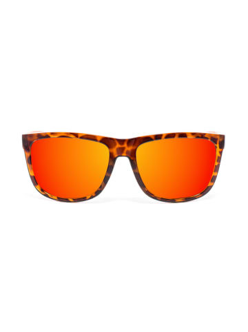 Polaroid Sonnenbrille in Brown