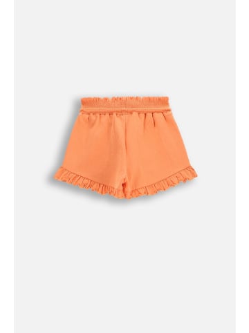 Coccodrillo Kurze Hosen in orange