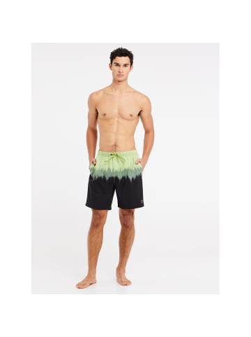 Protest M PRTCAGNES BEACHSHORT in Grün