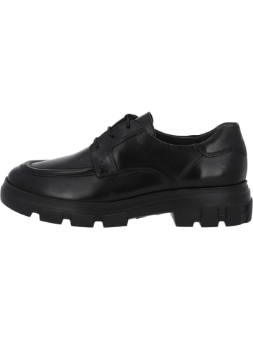Paul Green Schnürschuhe in Schwarz