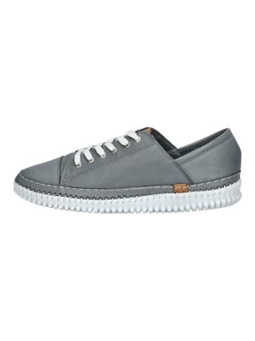 Andrea Conti Sneaker Anthrazit