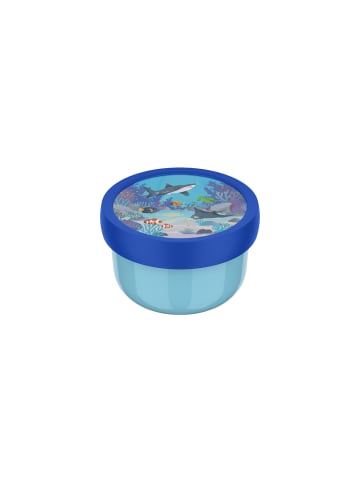 Mepal Fruchtbox Campus 300 ml in Tropical Ocean