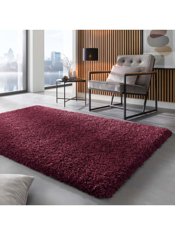 Tara Carpet Hochflorteppich Twilight in Bordeaux
