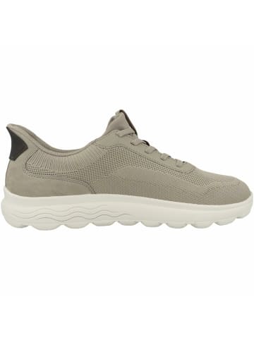 Geox Freizeit Schnürer für Damen in beige