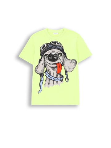 Coccodrillo T-Shirt mit kurzen Ärmeln in zartgrün