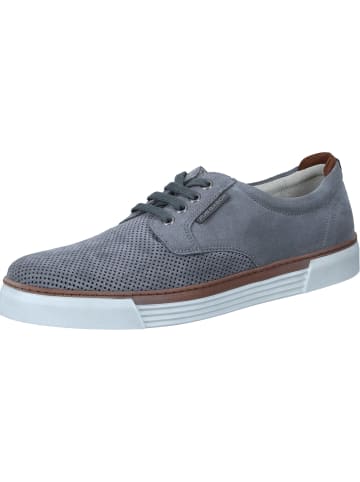 Pius Gabor Sneakers Low in ash