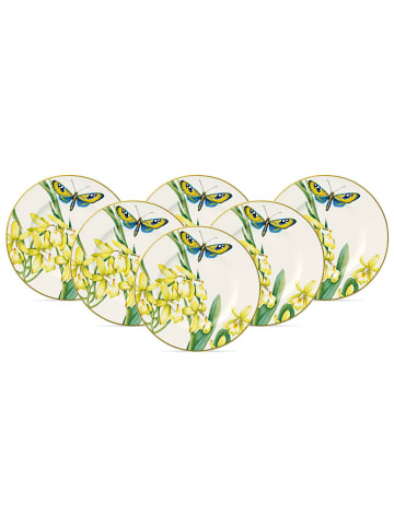 6er Set Brotteller Amazonia in Bunt ø 16,4 cm