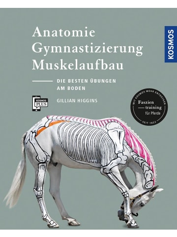 Franckh-Kosmos Anatomie, Gymnastizierung, Muskelaufbau