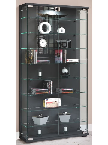 VCM  Holz Glas Stand Vitrine Regal Stelas L in Anthrazit