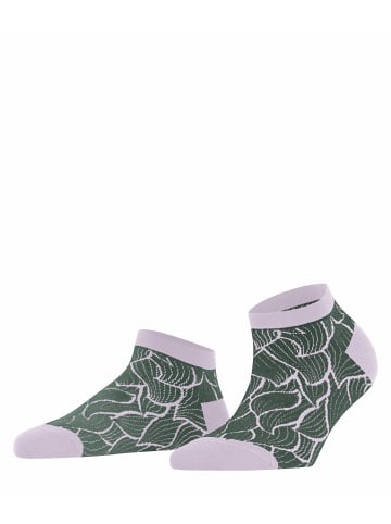 Falke Sneakersocken Stencil in Jungle