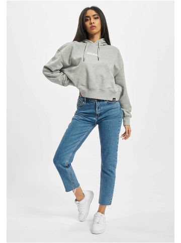 Dickies Dickies Kapuzenpullover in grey melange