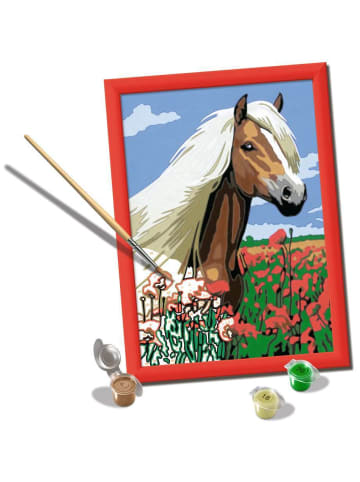 Ravensburger Malprodukte CreArt, Malen nach Zahlen Kinder - Haflinger Malen nach Zahlen Kinder Ab 7 Jahre in bunt