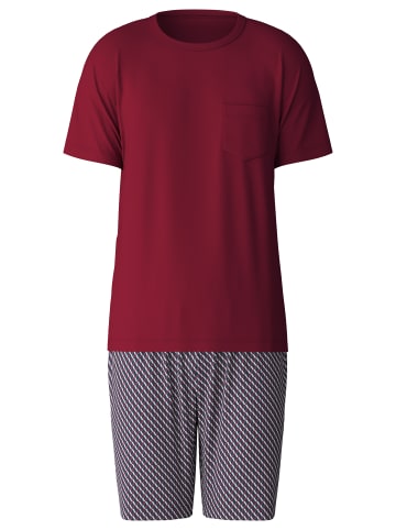 Calida Pyjama kurz in Mars red