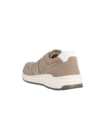 Camel Active Sneaker in Beige