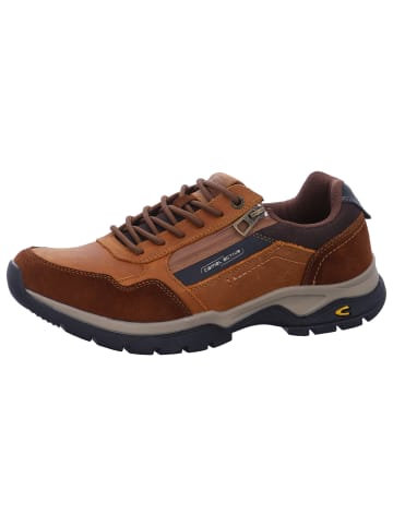 Camel Active Sneaker in Braun