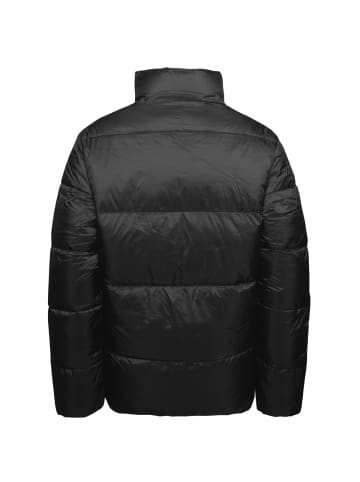 Champion Winterjacke Polyfilled in schwarz