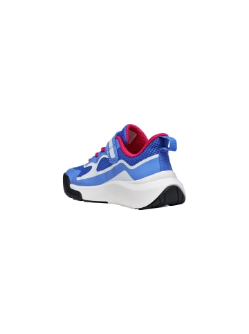 Geox J Pro Ran Schnür-Sneaker für Kinder Blau