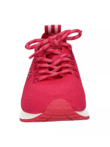 La Strada Klassischer Schnürschuh in rosa