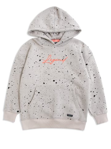 Threadboys Hoodie TBBMinnesota in Stone