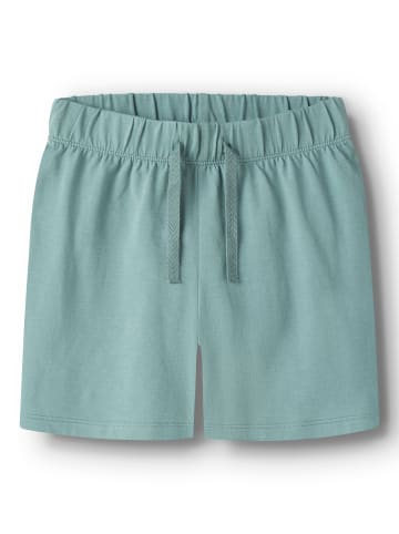 TWO SOON Shorts in Regatta