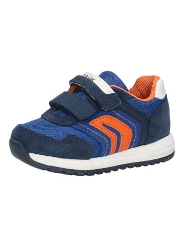 Geox Sneaker in Navy/Orange