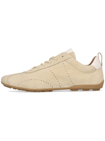 SALAMANDER Sneaker in beige