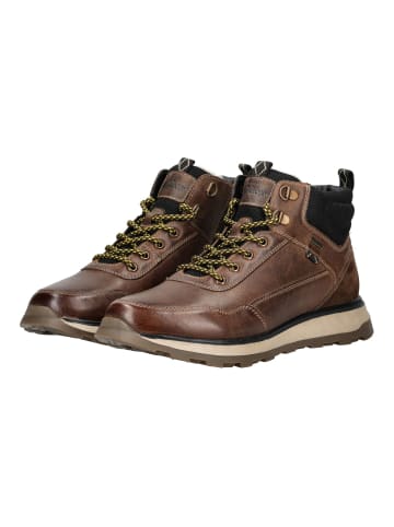 S.OLIVER RED LABEL Stiefelette in Cognac