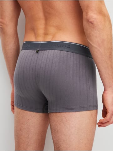 Calida New Boxer in rabbit grey