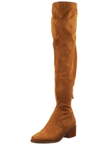 Steve Madden Stiefel in Braun