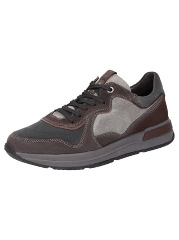 Sioux Sneaker Rojaro-715 in dunkelgrau