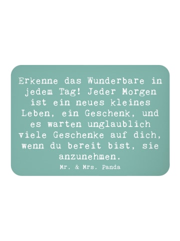 Mr. & Mrs. Panda magnet Spruch Erleuchtung im Alltag mit Spruch in Meeresbrise