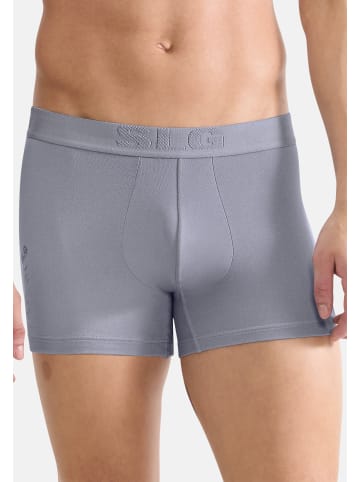 Sloggi Retro Short / Pant SLG Base Soft in Grau