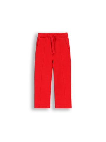 Coccodrillo Jogginghose in rot