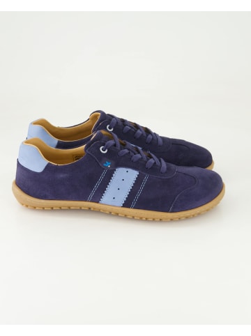 KOEL Sportliche Schnürschuhe in Blau