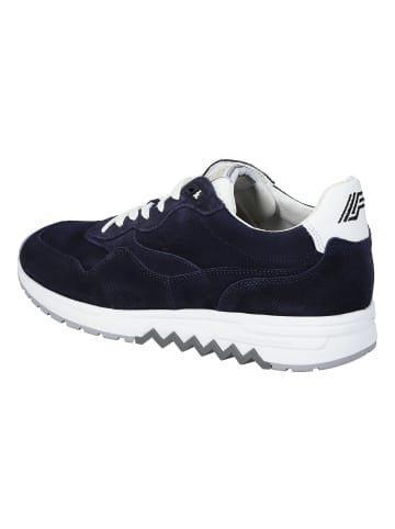 Floris van Bommel Sneaker De Harder in darkblue