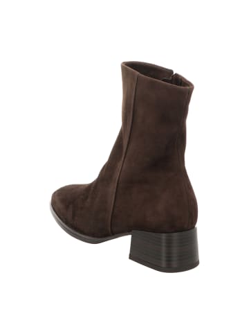Gabor Klassische Stiefeletten in Braun