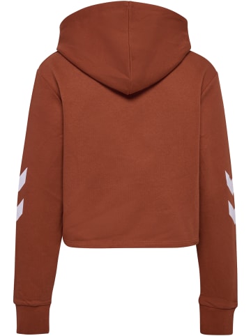 Hummel Kapuzenpullover Hmllegacy Damen in ARABIAN SPICE