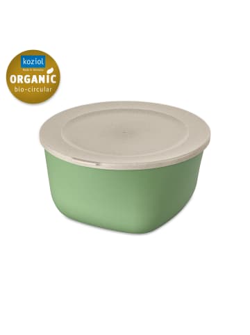 koziol CONNECT BOX 4 - Box mit Deckel 4l in nature leaf green