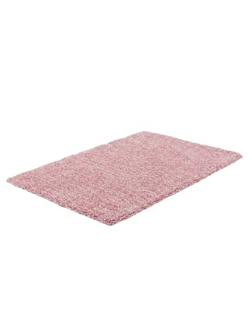Kayoom Wohnzimmer Teppich – Effortless 310 120 x 170 cm in creme - puder - rechteckig