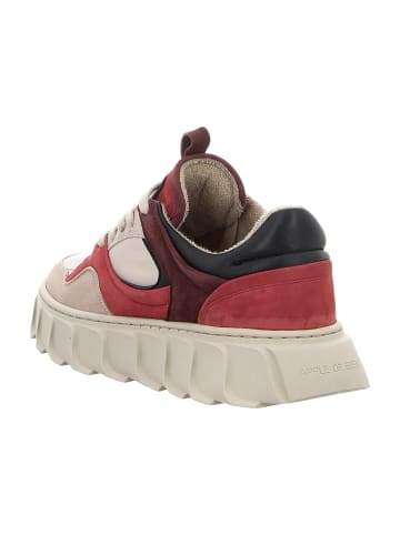 Apple of Eden Sneaker Low in Beige