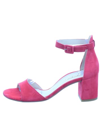 Paul Green Damensandalette elegant  über 45 mm Absatz 0073-7469-213 in  Pink