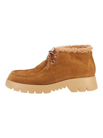 Högl Stiefelette 2-102435 in Camel