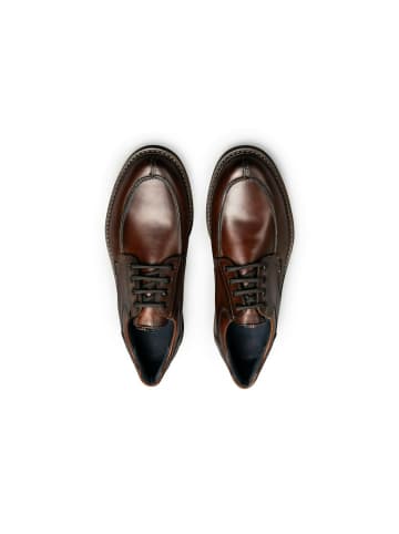 LLOYD Business Schuhe für Herren in braun