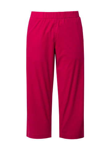Ulla Popken Chino in dunkle himbeere