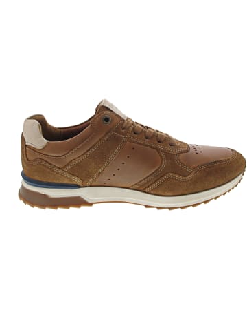Camel Active Sneaker Braun